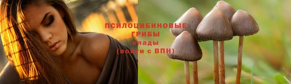 дурь Алексеевка