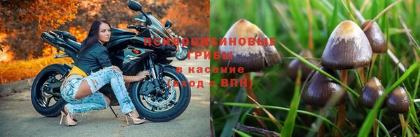 дурь Алексеевка