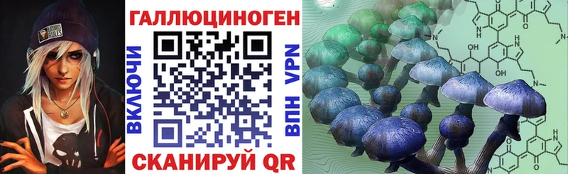 Псилоцибиновые грибы GOLDEN TEACHER Геленджик