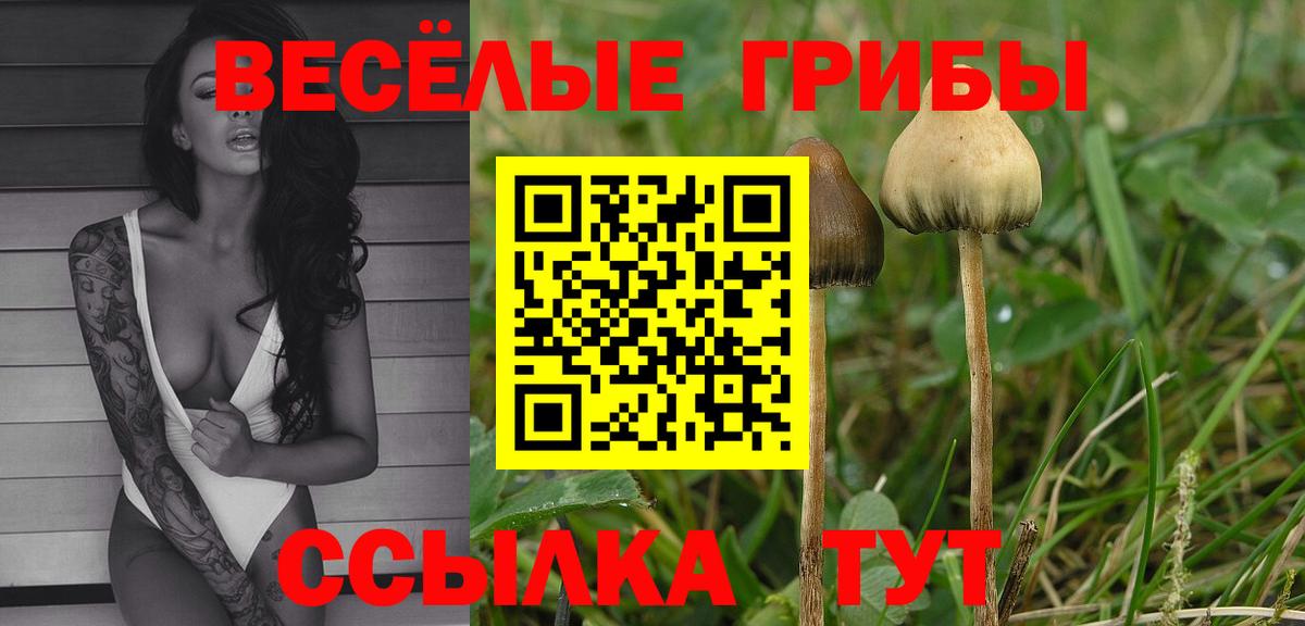 Геленджик  Галлюциногенные грибы Psilocybe  Вход с VPN 