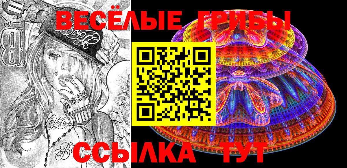 Псилоцибиновые грибы Cubensis Геленджик