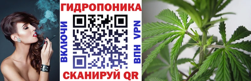 дарнет шоп  Геленджик  Шишки марихуана ГИДРОПОН 